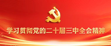 學習貫徹黨的二十屆三中全會精神